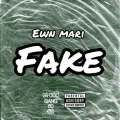 Fake