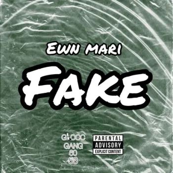 Fake cover art