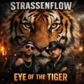 Eye of The Tiger