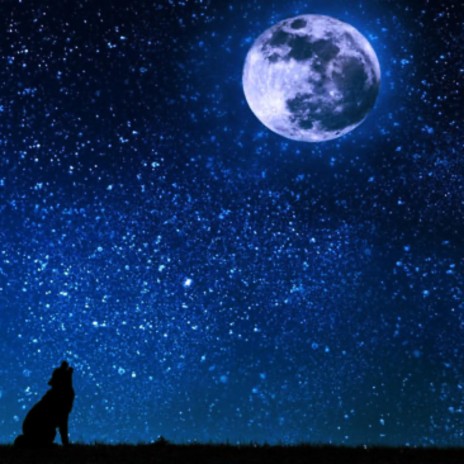 Moonlight
