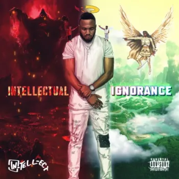 Over cover art