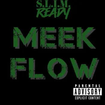 Meek Flow cover art