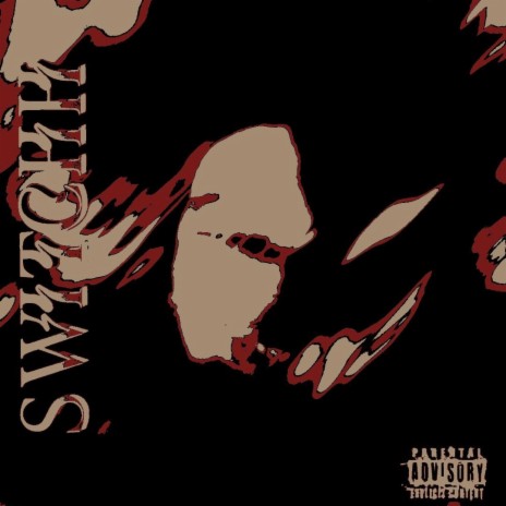 Switch cover art