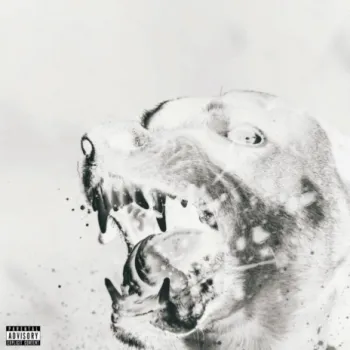Angrydog cover art