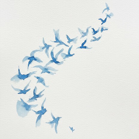 Birds cover art