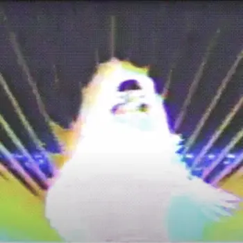 Everest cover art