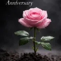 Anniversary