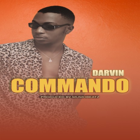Commando cover art
