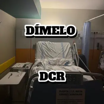 DIMELO cover art