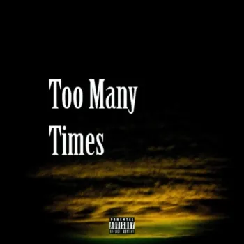Too Many Times cover art
