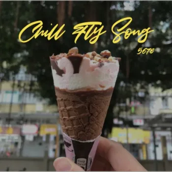 Chill Fly Song cover art