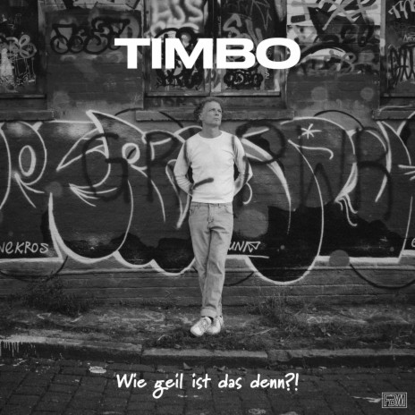 Die Welt braucht keinen Erfolg mehr cover art