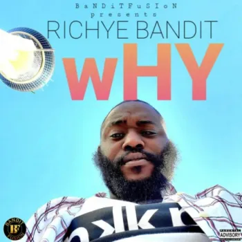 wHY cover art