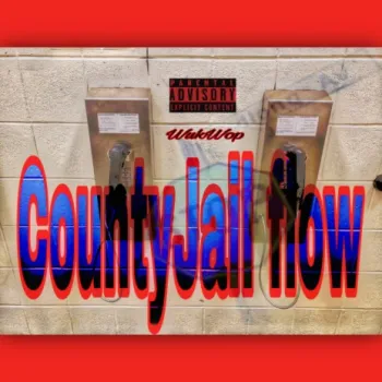 CountyJail Flow cover art