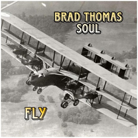 Fly cover art