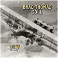 Fly