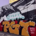 SOMEONE NEW