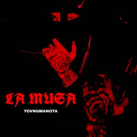 LA MUSA ft. YovngManota cover art
