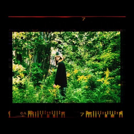 THE TREE BENEATH THE WINDOW (Radio Edit)