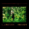 THE TREE BENEATH THE WINDOW (Radio Edit)