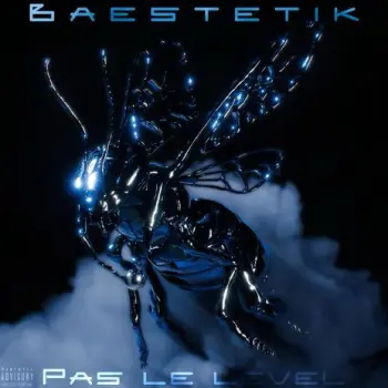 Pas le level cover art