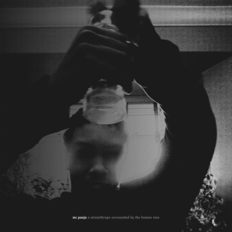 The Pregnancy Exists in a Low IQ Fashion cover art