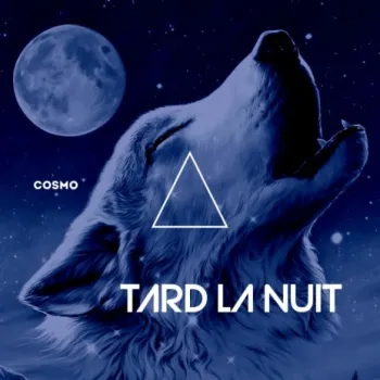 Tard la nuit cover art