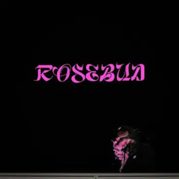 DANS LA FOULE cover art