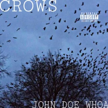 Crows cover art
