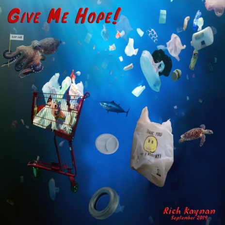 Do You Take Me for a Fool? cover art