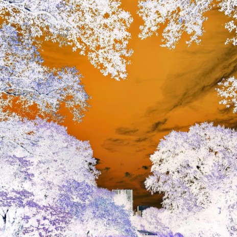 for the soul cover art