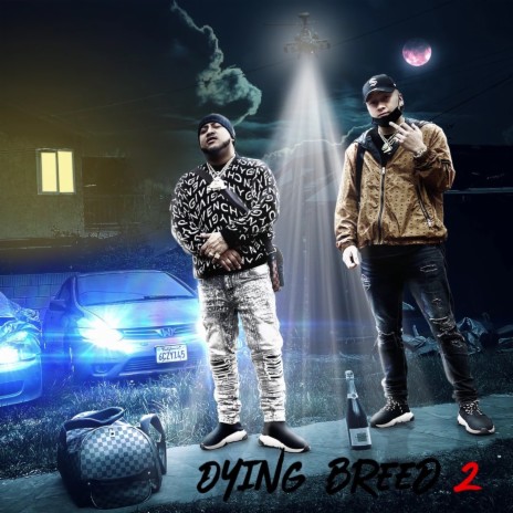 Shine In The Dark ft. Gizzo cover art