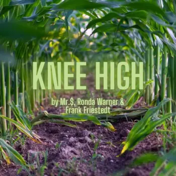 Knee High ft. Ronda Warner & Frank Friestedt cover art