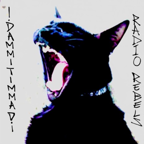 ¡DAMMIT I'M MAD! cover art