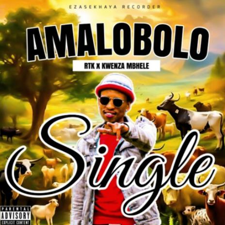 Amalobolo_Rtk Spha (Official Audio) (Radio Edit) ft. Kwenza cover art