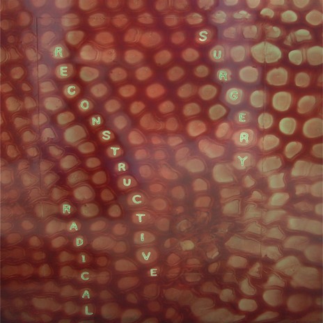 The General ft. John Medeski, Matthew Shipp, William Parker & Nasheet Waits cover art