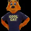 Cool Cat