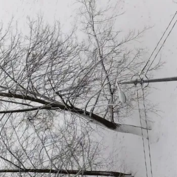 Роль cover art