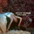 Hypersomnia Rationale