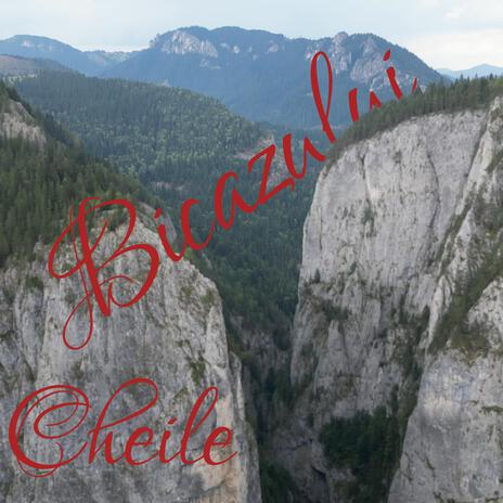 Mergem la Belvedere cover art