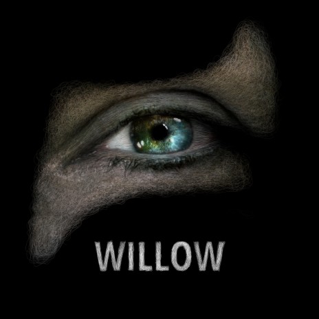 Willow (Slowed & Reverb) cover art