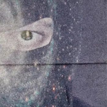 Pas Peur Du Danger cover art
