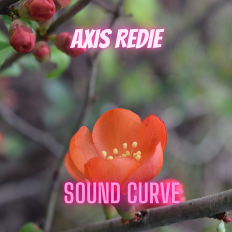 Sound Curve cover art