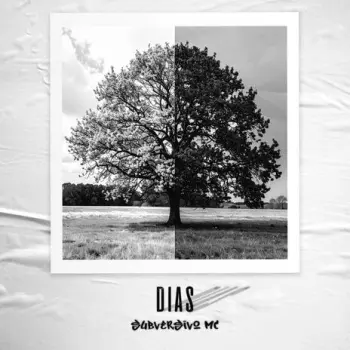DIAS cover art