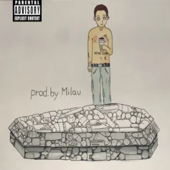 Schönes life/früh im Sarg cover art