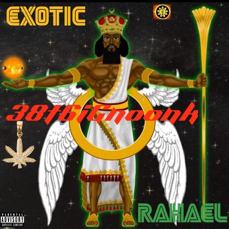 Exotic ft. RAJAEL 3838