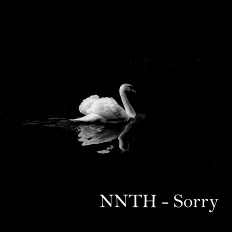Sorry cover art