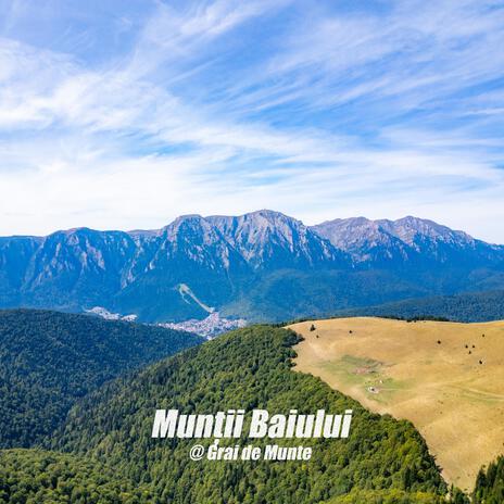Chemarea lor cover art