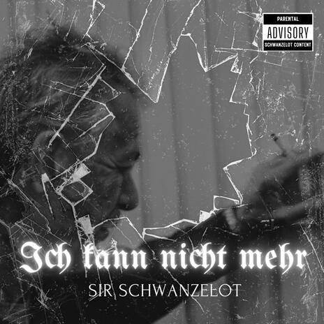 Ich kann nicht mehr (KTM Gang) cover art