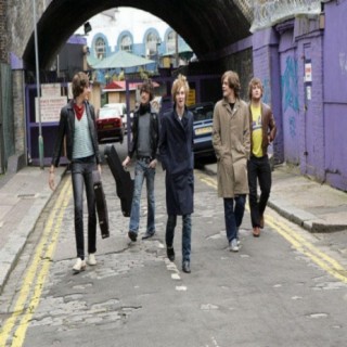 The Paddingtons